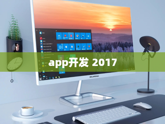 app开发 2017