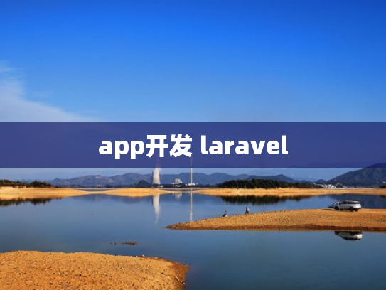 app开发 laravel