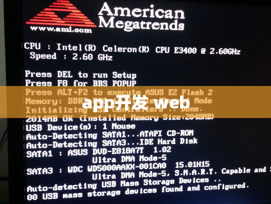 app开发 web