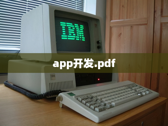 app开发.pdf