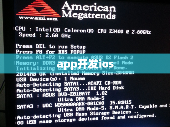 app开发ios
