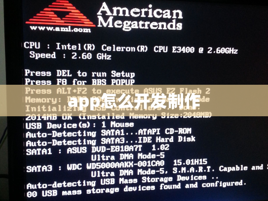 app怎么开发制作
