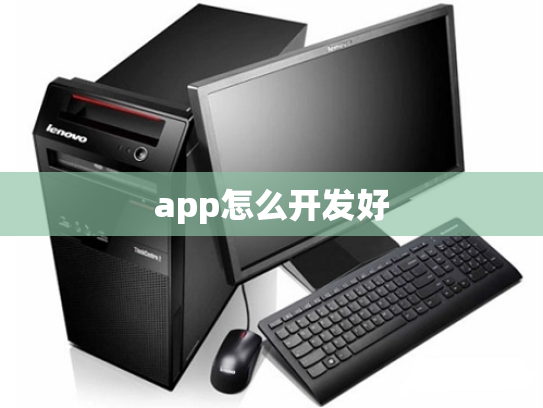 app怎么开发好