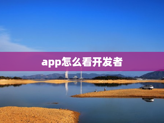 app怎么看开发者
