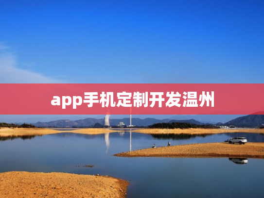 app手机定制开发温州