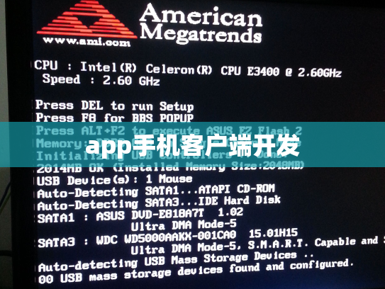 app手机客户端开发