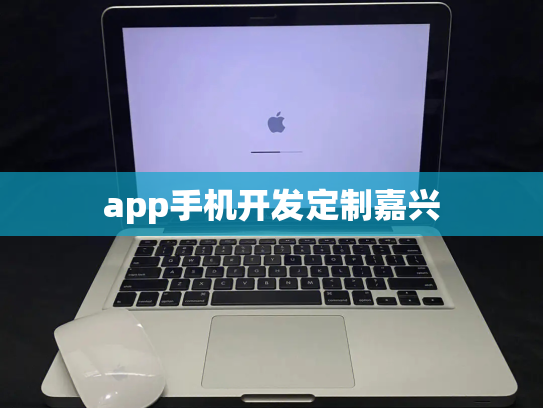 app手机开发定制嘉兴