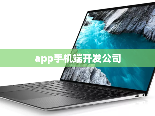 app手机端开发公司