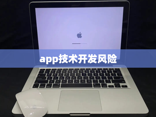 app技术开发风险