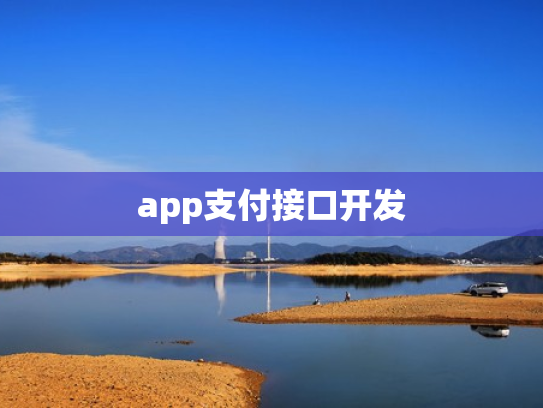 app支付接口开发