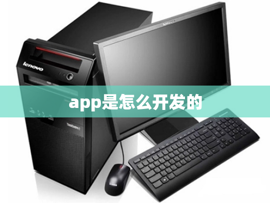 app是怎么开发的