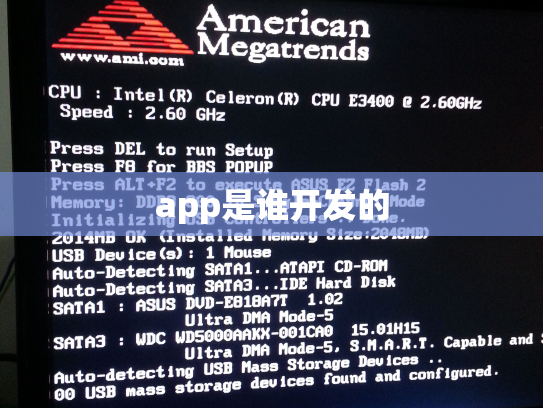 app是谁开发的