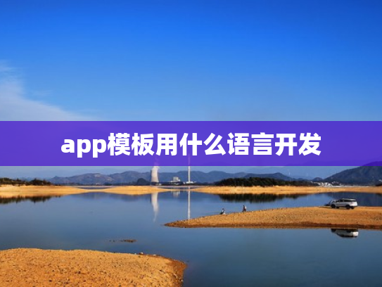 app模板用什么语言开发