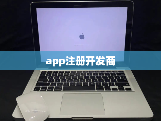 app注册开发商