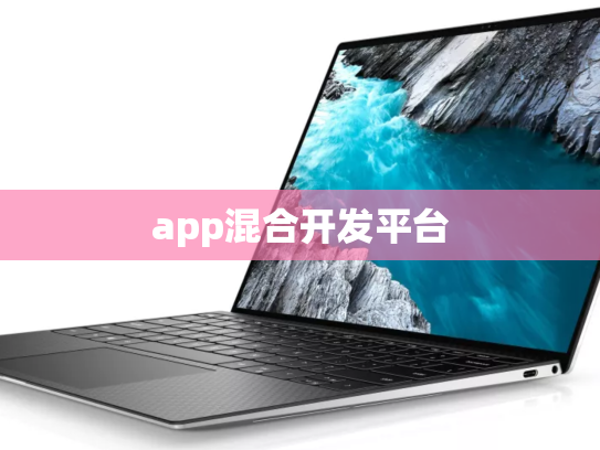 app混合开发平台