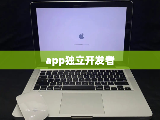 app独立开发者