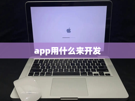 app用什么来开发