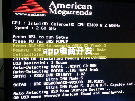 app电商开发