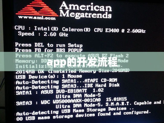 app的开发流程