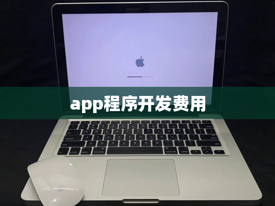 app程序开发费用