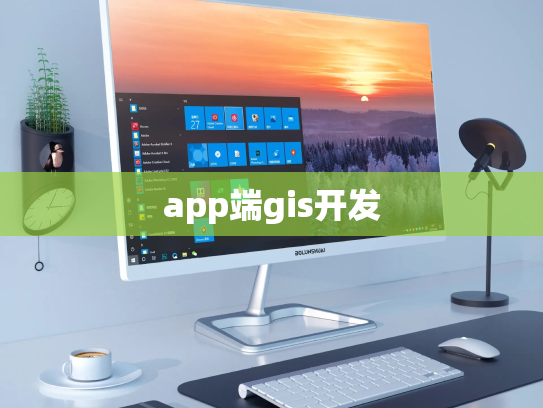 app端gis开发