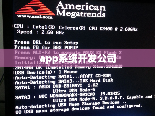 app系统开发公司