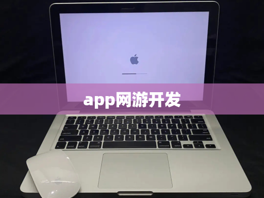 app网游开发