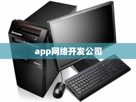 app网络开发公司