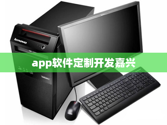 app软件定制开发嘉兴