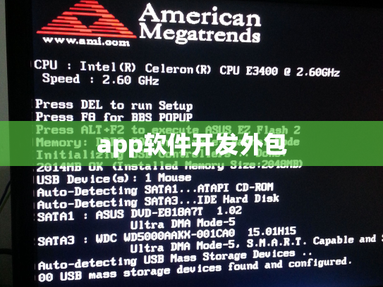 app软件开发外包