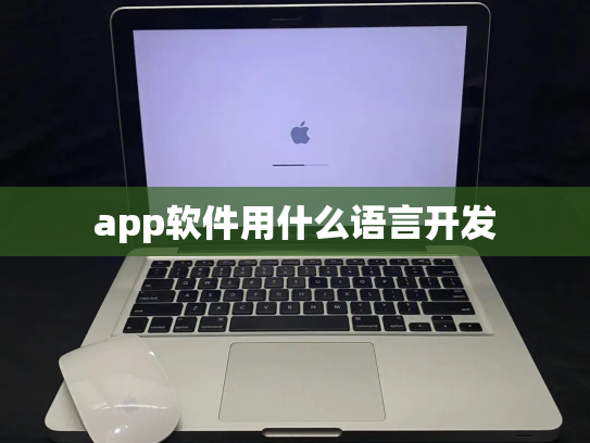 app软件用什么语言开发