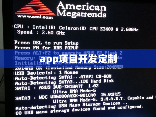 app项目开发定制