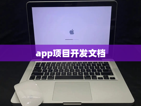 app项目开发文档