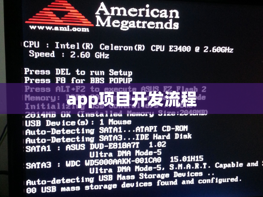 app项目开发流程