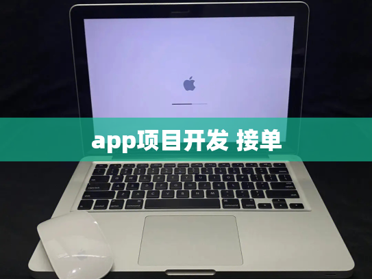 app项目开发 接单