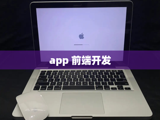 app 前端开发
