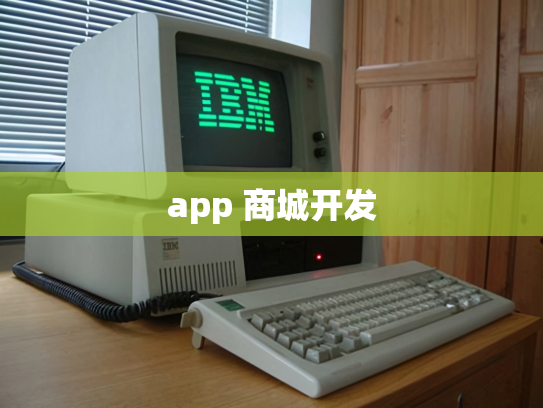app 商城开发