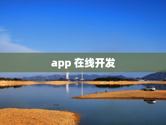 app 在线开发
