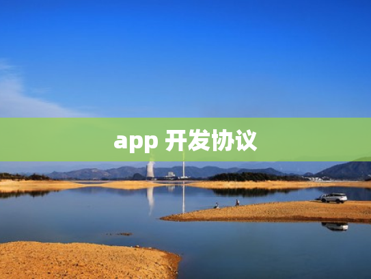 app 开发协议