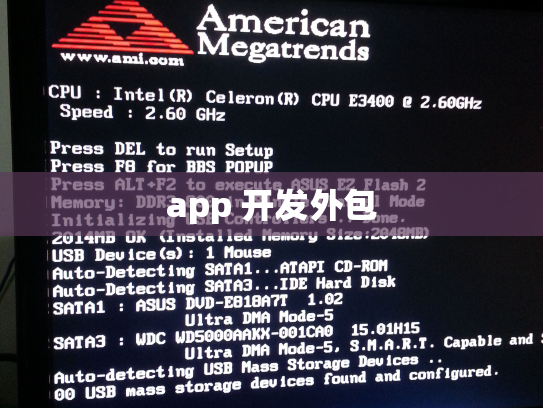 app 开发外包