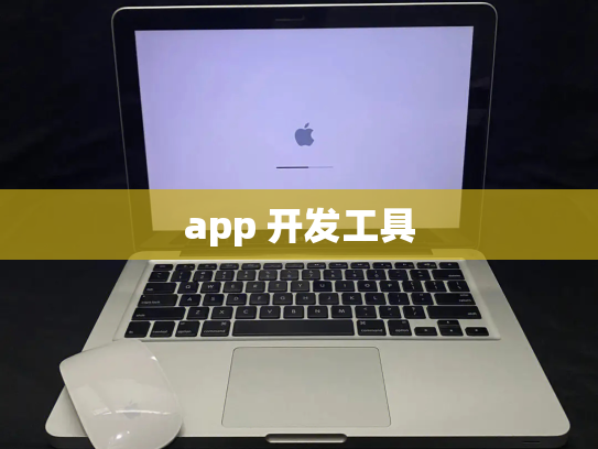 app 开发工具