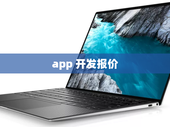 app 开发报价