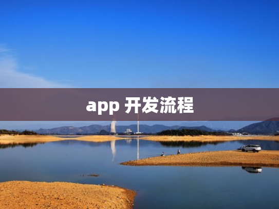 app 开发流程