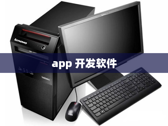 app 开发软件