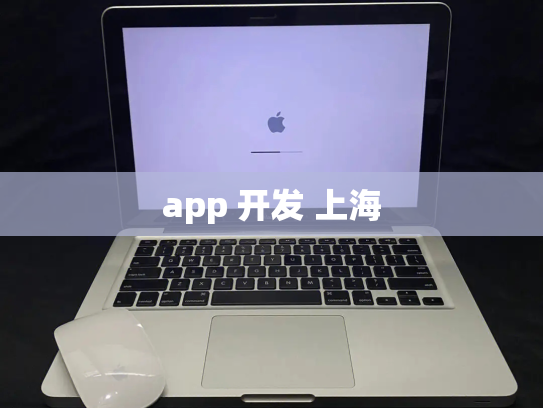 app 开发 上海