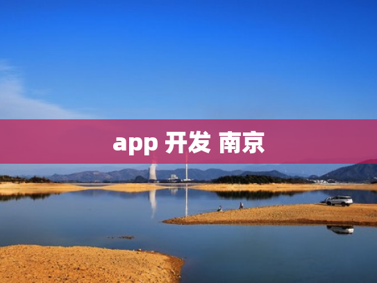 app 开发 南京