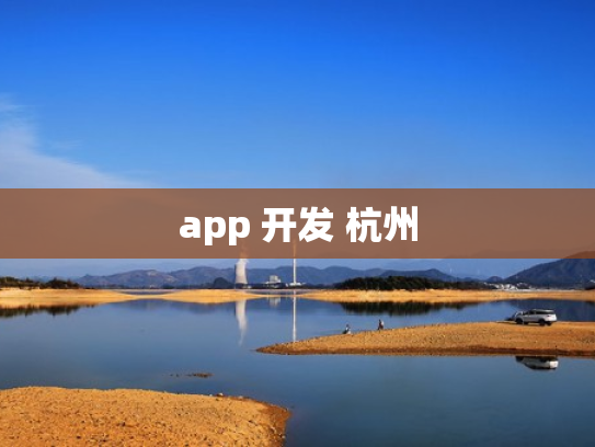 app 开发 杭州