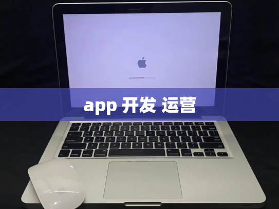 app 开发 运营