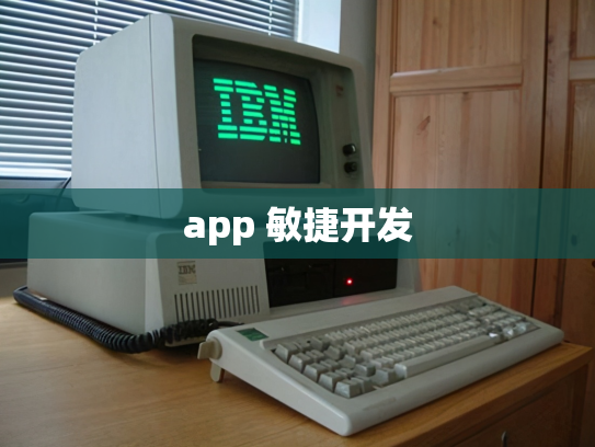 app 敏捷开发