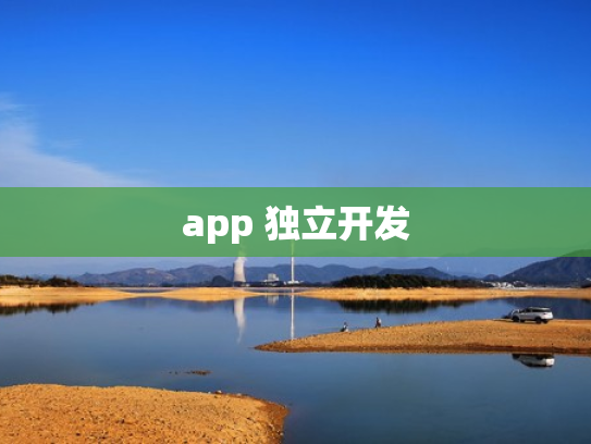 app 独立开发
